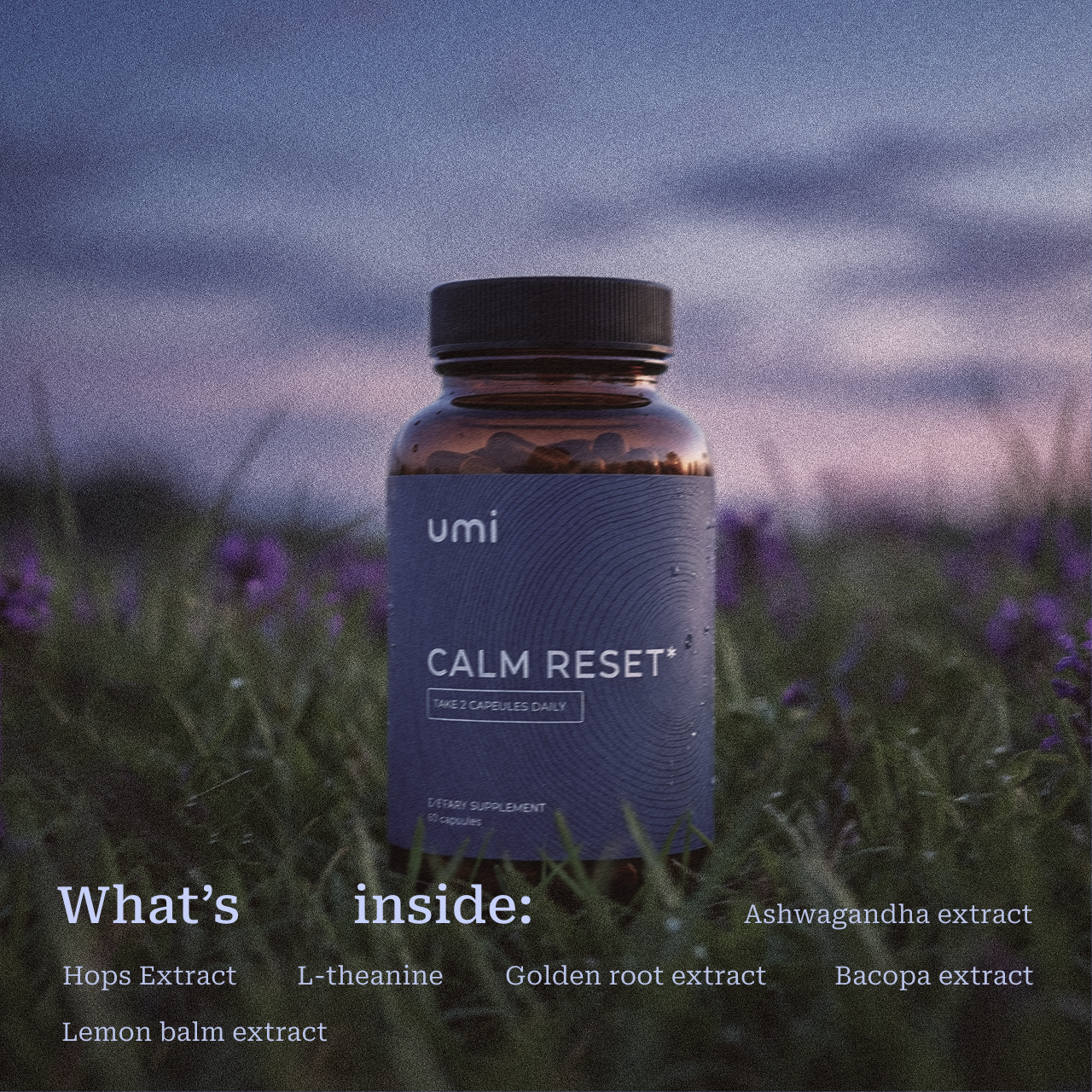 Calm Reset