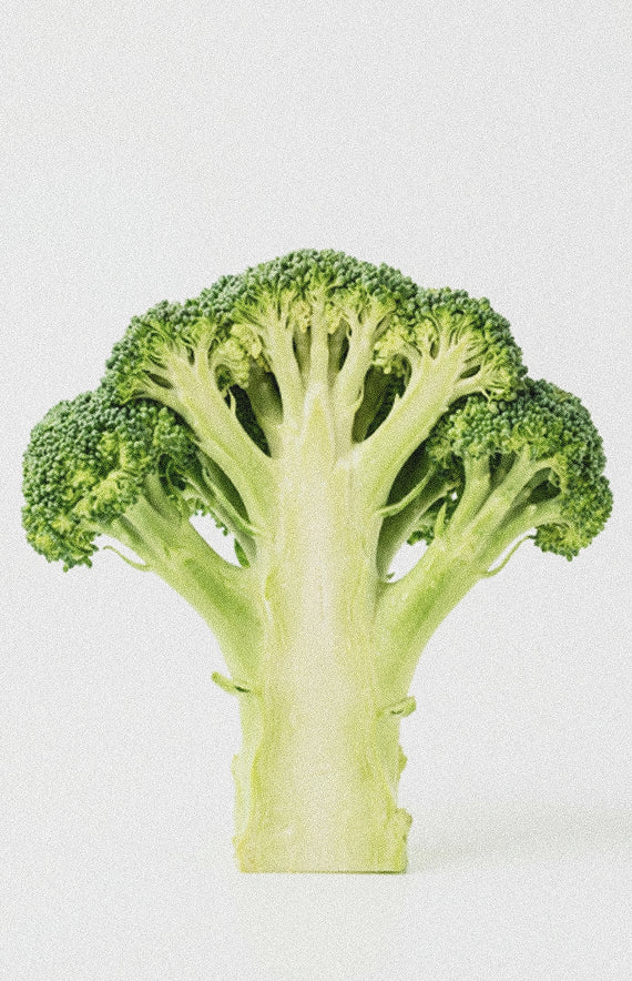 Broccoli