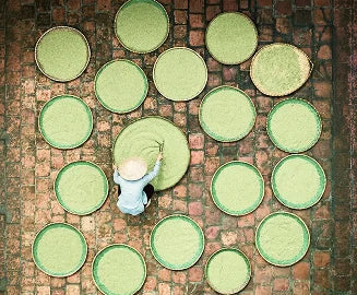 Resilient spore technology