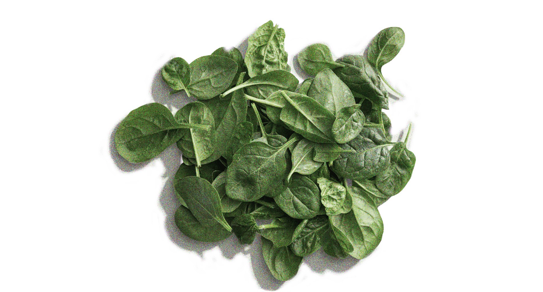 Spinach