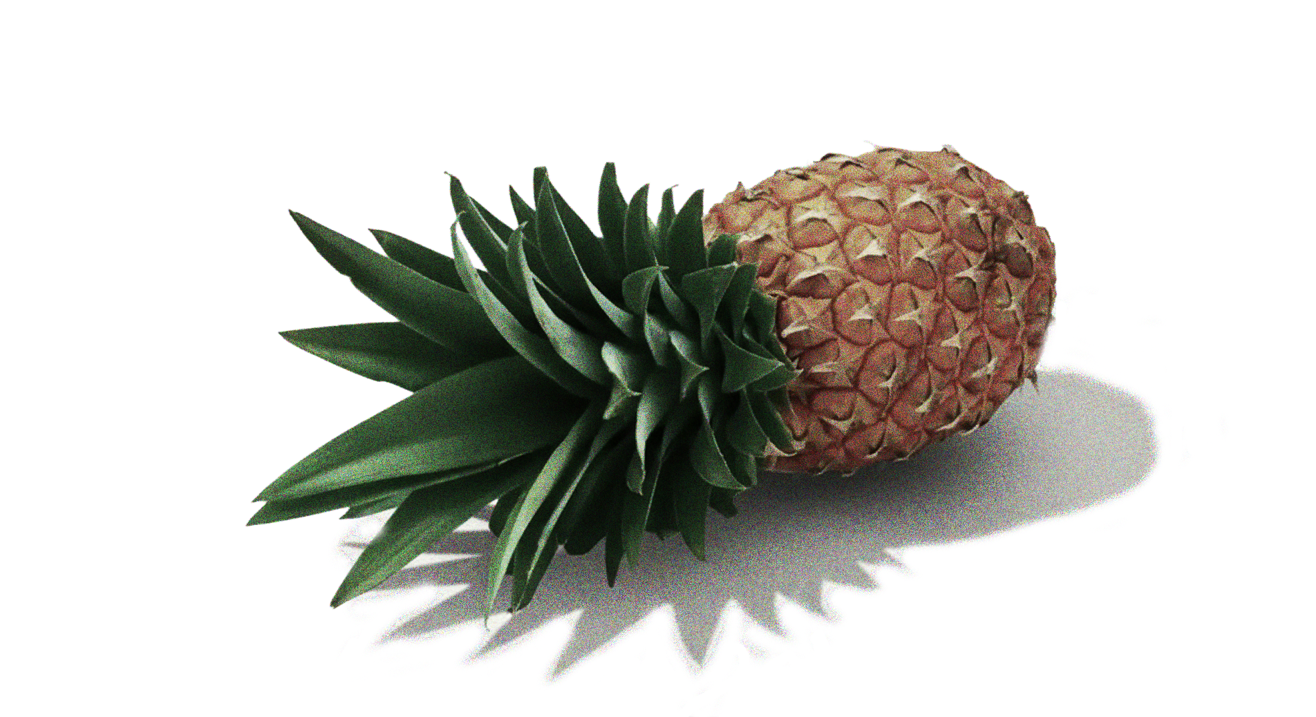 Bromelain
