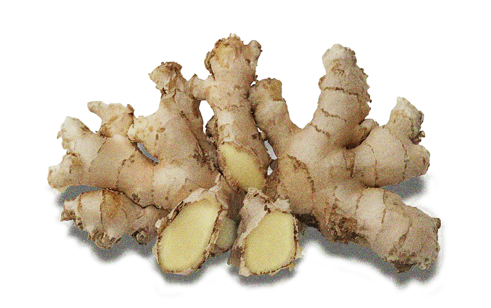 Ginger Root