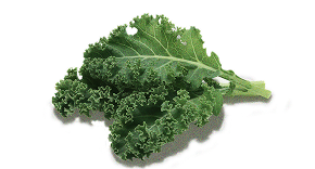 Kale Leaf