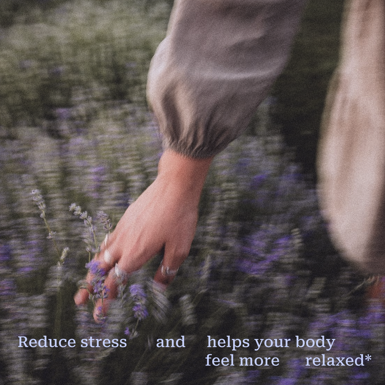 Calm Reset